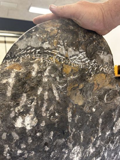 Atlas Mountains, Morocco, Devonian Period,...