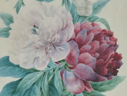 École du XIXe siècle 
Pivoines 
Gouache sur...