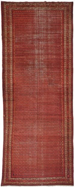 Tapis Ferrahan (chaîne et trame en coton,...