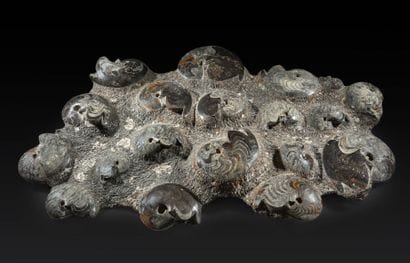 Atlas Mountains, Morocco, Devonian Period,...