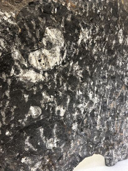 Atlas Mountains, Morocco, Devonian Period,...