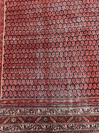 Tapis Ferrahan (chaîne et trame en coton,...