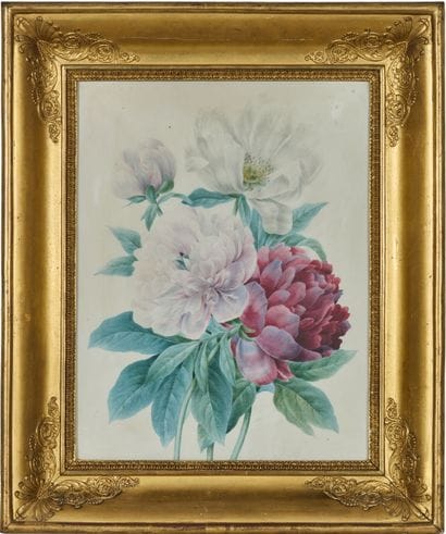 École du XIXe siècle 
Pivoines 
Gouache sur...
