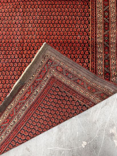 Tapis Ferrahan (chaîne et trame en coton,...