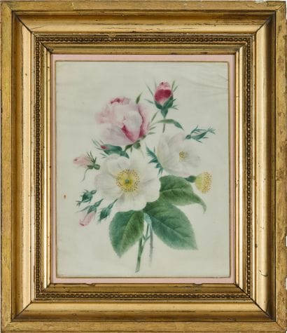 École française du XIXe siècle 
Roses trémières...