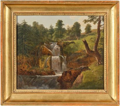 Alexandre MILLIN DUPERREUX (1764–1843)
Waterfall...