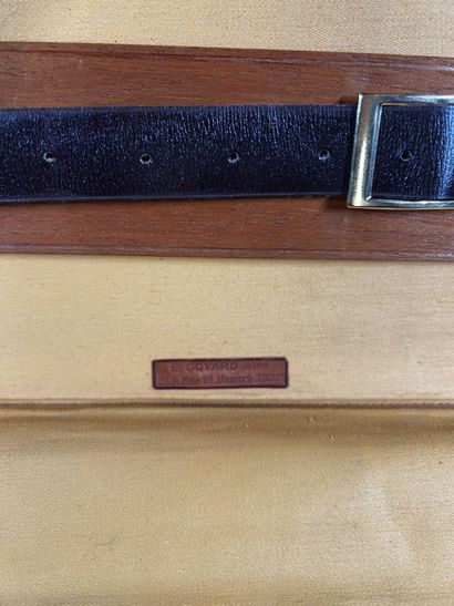 GOYARD 
Valise porte-habit pliable chiffrée...