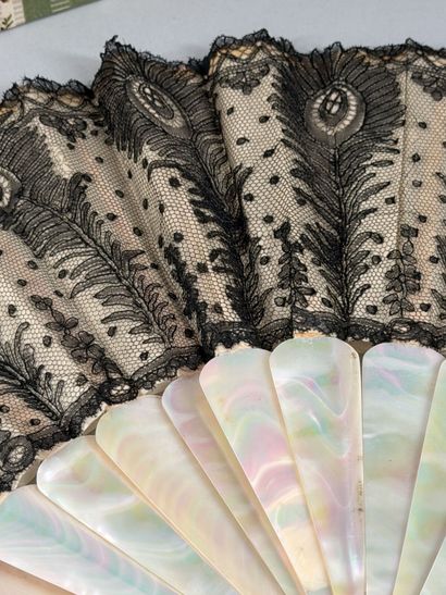 Peacock feathers, Europe, circa 1900–1920...