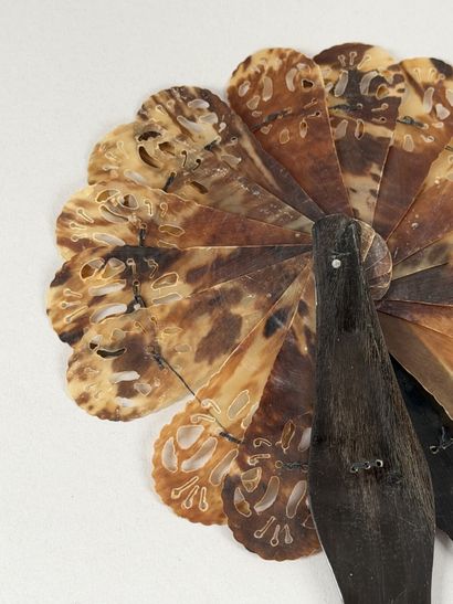 Tortoiseshell 