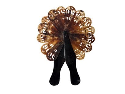 Tortoiseshell 