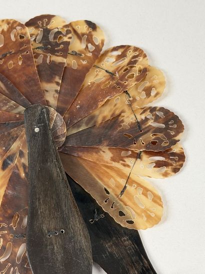 Tortoiseshell 