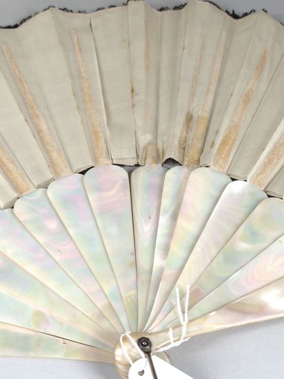 Peacock feathers, Europe, circa 1900–1920...