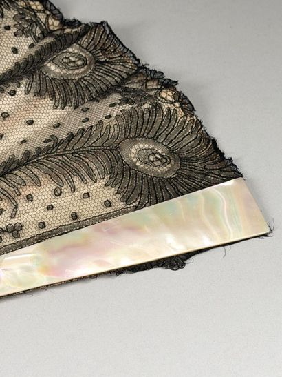 Peacock feathers, Europe, circa 1900–1920...