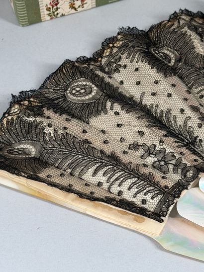 Peacock feathers, Europe, circa 1900–1920...