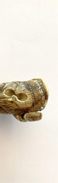 JAPON, circa 1900.
Netsuke
Ivoire. 
Haut....