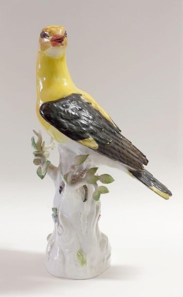 ALLEMAGNE, MEISSEN.
Oiseau branché posé sur...