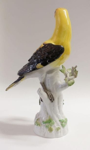 ALLEMAGNE, MEISSEN.
Oiseau branché posé sur...