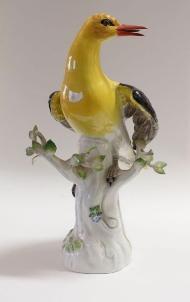 ALLEMAGNE, MEISSEN.
Oiseau branché posé sur...