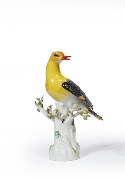 ALLEMAGNE, MEISSEN.
Oiseau branché posé sur...