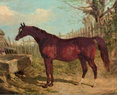 John Frederick HERRING (1795-1865).
Cheval...