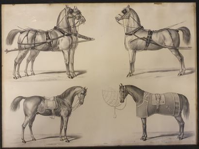 *Set of four framed engravings on the theme...