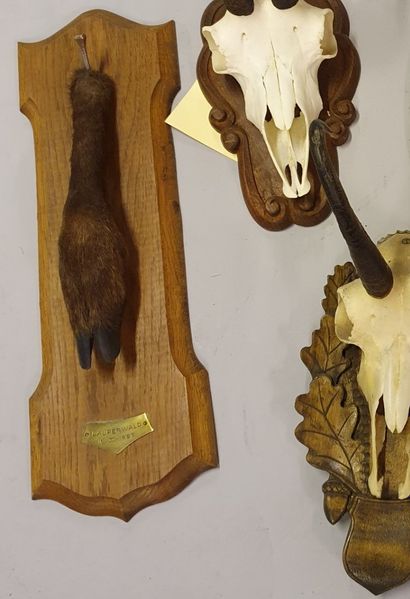 Set of three chamois killers, two of which...