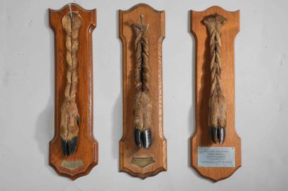 
Set of three paws of honour bearing the...