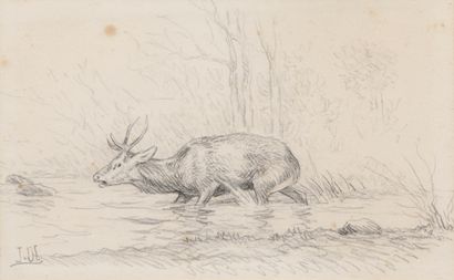 Joseph OBERTHUR
*Joseph OBERTHÜR. Deer in...