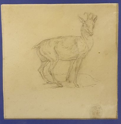 
*- A. V. monogrammed lower right. Dog running....