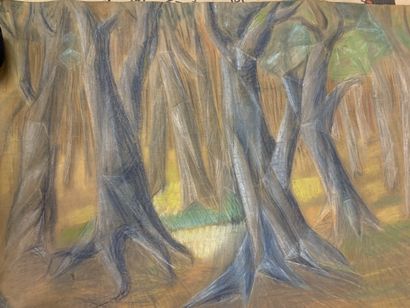 Nathan IMENITOFF, trois dessins

Nathan IMENITOFF

Lot...