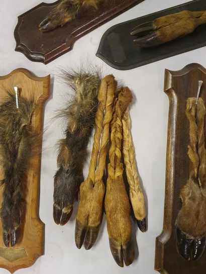 *Set including four feet of boar and deer...