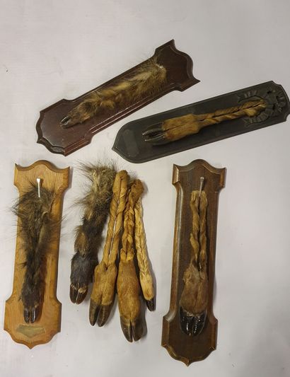 *Set including four feet of boar and deer...
