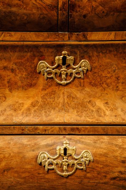 
A burl wood veneer display cabinet opening...