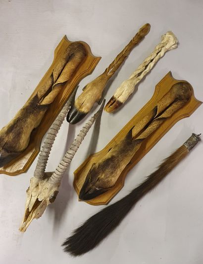 
*Set of four African antelope braided honorary...