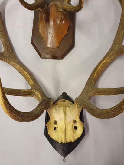 
Set including two deer slaughters (one damaged,...