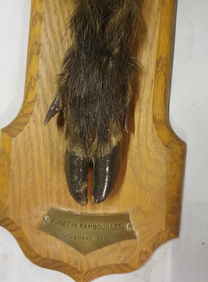 *Set including four feet of boar and deer...