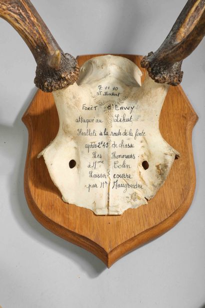 Deer massacre. Frontal bone bearing the inscription:...