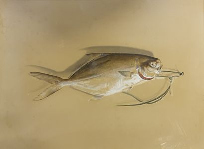 
*A. PERELLI. Still life with fish. Mixed...