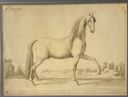 Set of ten framed pieces, drawings and various...