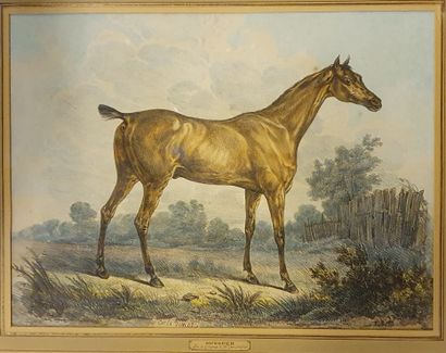 
*- JF HERRING. Two engravings in color representing...