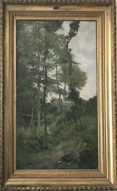 Eugène CLARY

Eugène CLARY
Undergrowth
Oil...