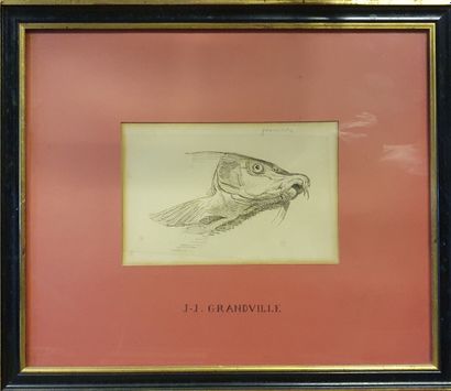 
*A. PERELLI. Still life with fish. Mixed...