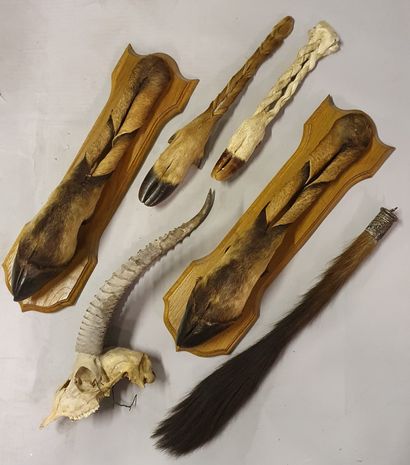 
*Set of four African antelope braided honorary...