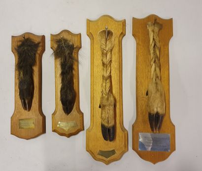*Set of four honorary feet mounted on molded...