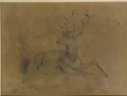 
*- Olivier DE PENNE. Study of dogs. Two...
