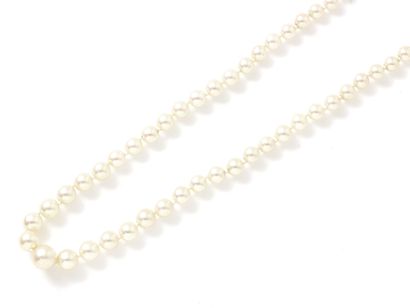 Collier composé d'une chute de perles de...