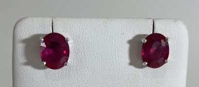 PAIR OF EARRINGS in 18K (750 thousandths)...
