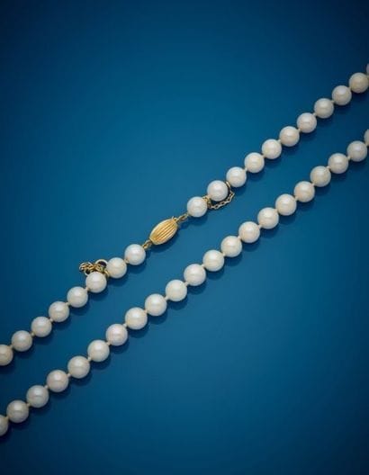 Necklace of choker cultured pearls strung...
