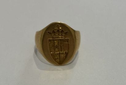 Oval-shaped CHEVALIERE in 18K ( 750 thousandths)...