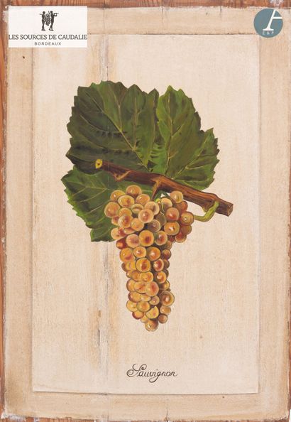 From room 26 of the Sources de Caudalie 